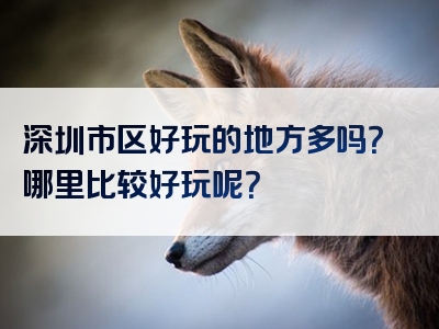 深圳市区好玩的地方多吗？哪里比较好玩呢？