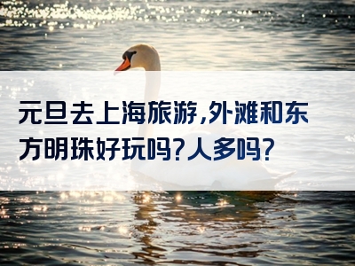 元旦去上海旅游，外滩和东方明珠好玩吗？人多吗？