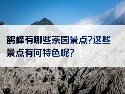 鹤峰有哪些茶园景点？这些景点有何特色呢？