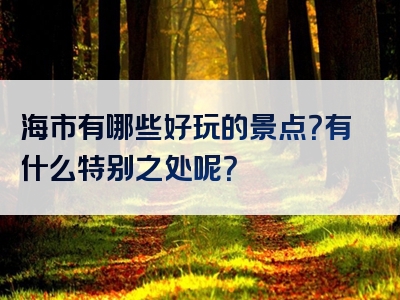 海市有哪些好玩的景点？有什么特别之处呢？