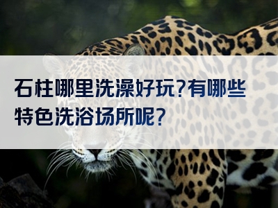 石柱哪里洗澡好玩？有哪些特色洗浴场所呢？