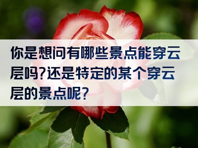 你是想问有哪些景点能穿云层吗？还是特定的某个穿云层的景点呢？