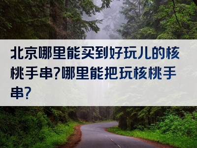 北京哪里能买到好玩儿的核桃手串？哪里能把玩核桃手串？