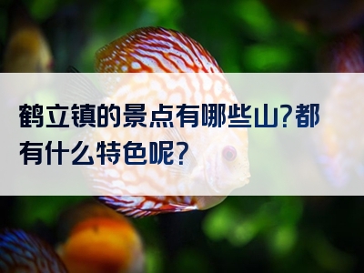 鹤立镇的景点有哪些山？都有什么特色呢？