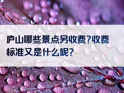 庐山哪些景点另收费？收费标准又是什么呢？