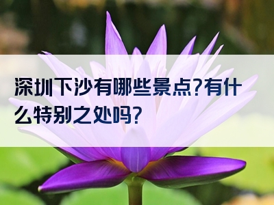 深圳下沙有哪些景点？有什么特别之处吗？