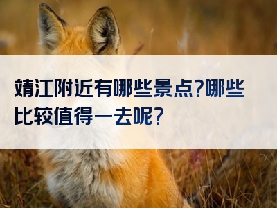 靖江附近有哪些景点？哪些比较值得一去呢？
