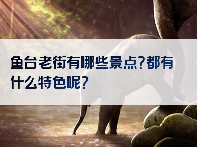 鱼台老街有哪些景点？都有什么特色呢？