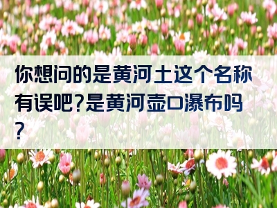 你想问的是黄河土这个名称有误吧？是黄河壶口瀑布吗？