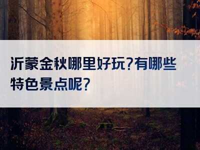 沂蒙金秋哪里好玩？有哪些特色景点呢？