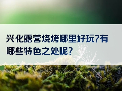 兴化露营烧烤哪里好玩？有哪些特色之处呢？