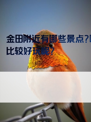 金田附近有哪些景点？哪里比较好玩呢？