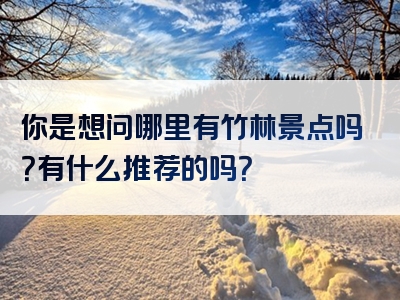你是想问哪里有竹林景点吗？有什么推荐的吗？
