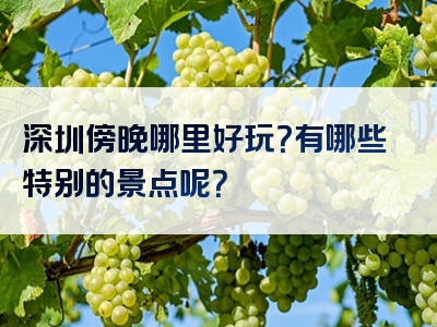 深圳傍晚哪里好玩？有哪些特别的景点呢？