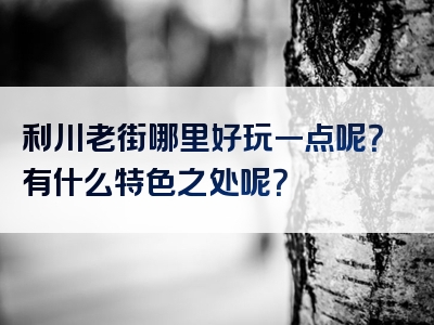 利川老街哪里好玩一点呢？有什么特色之处呢？