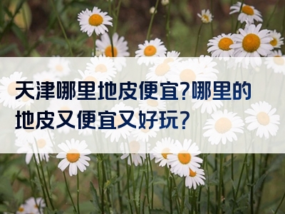 天津哪里地皮便宜？哪里的地皮又便宜又好玩？