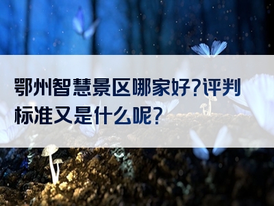 鄂州智慧景区哪家好？评判标准又是什么呢？