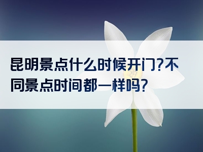 昆明景点什么时候开门？不同景点时间都一样吗？